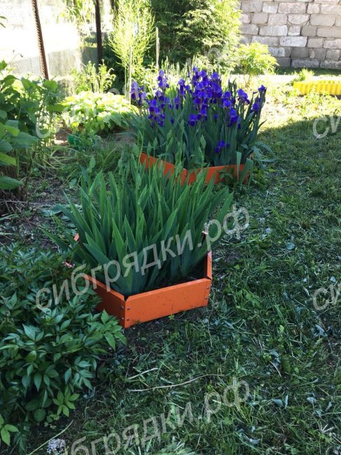 Клумба "Сота" 400 в Волгограде